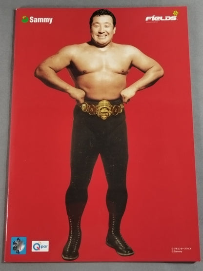 CRRikidozan  Brochure