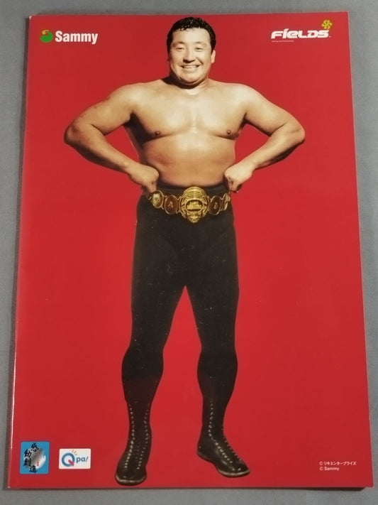 CRRikidozan  Brochure