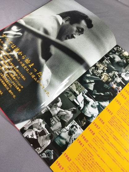 CRRikidozan  Brochure