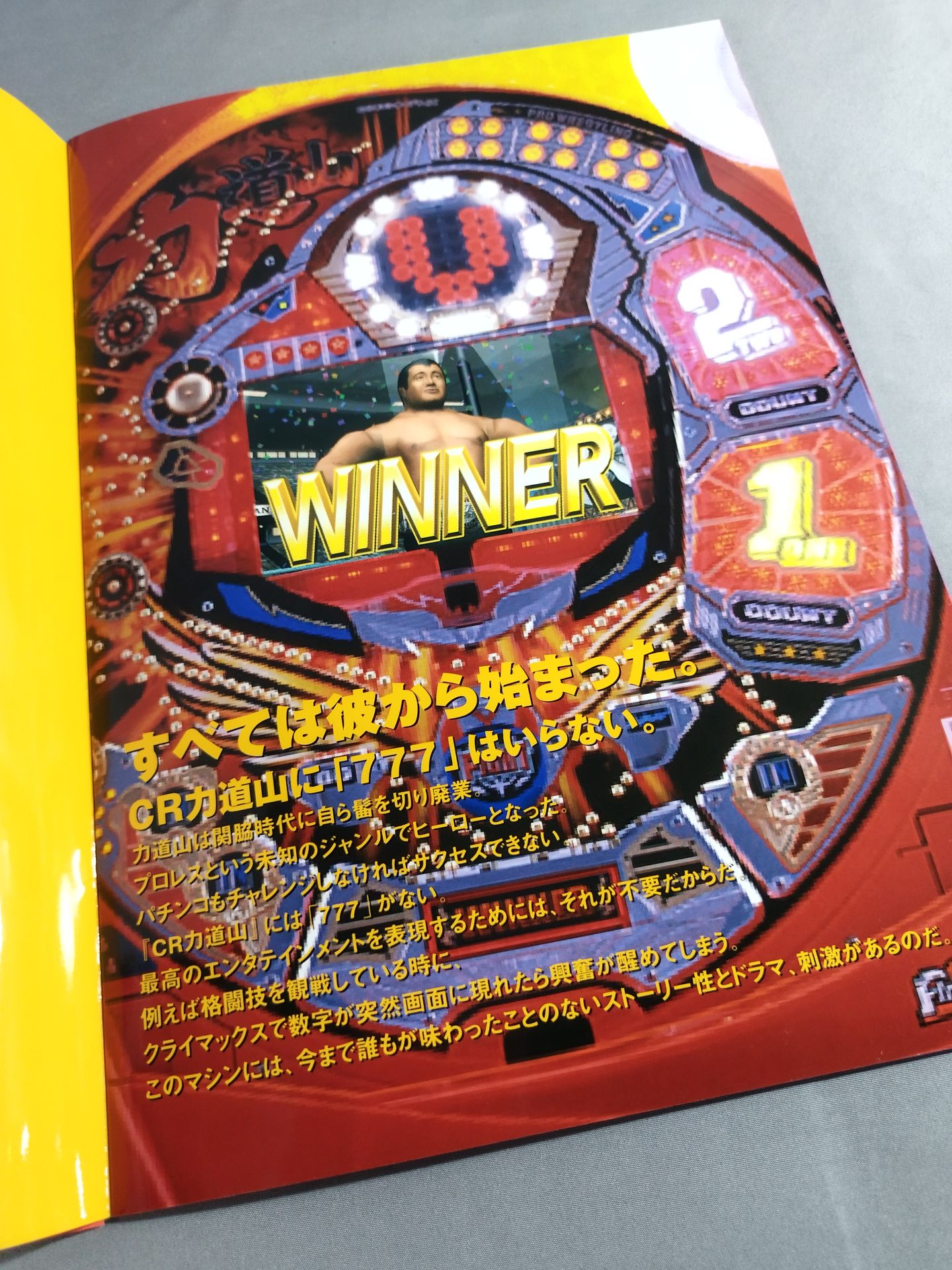 CRRikidozan  Brochure