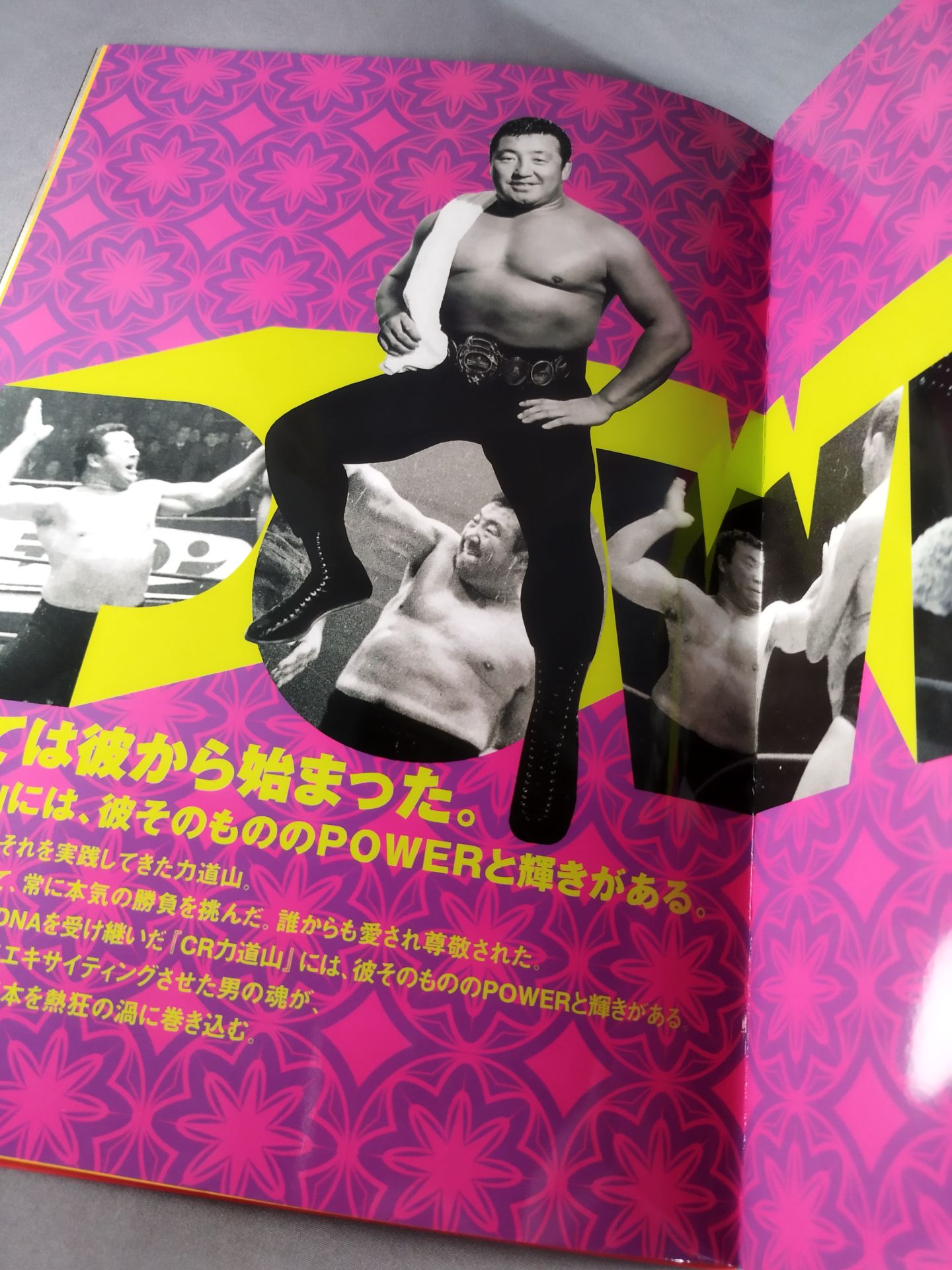 CRRikidozan  Brochure