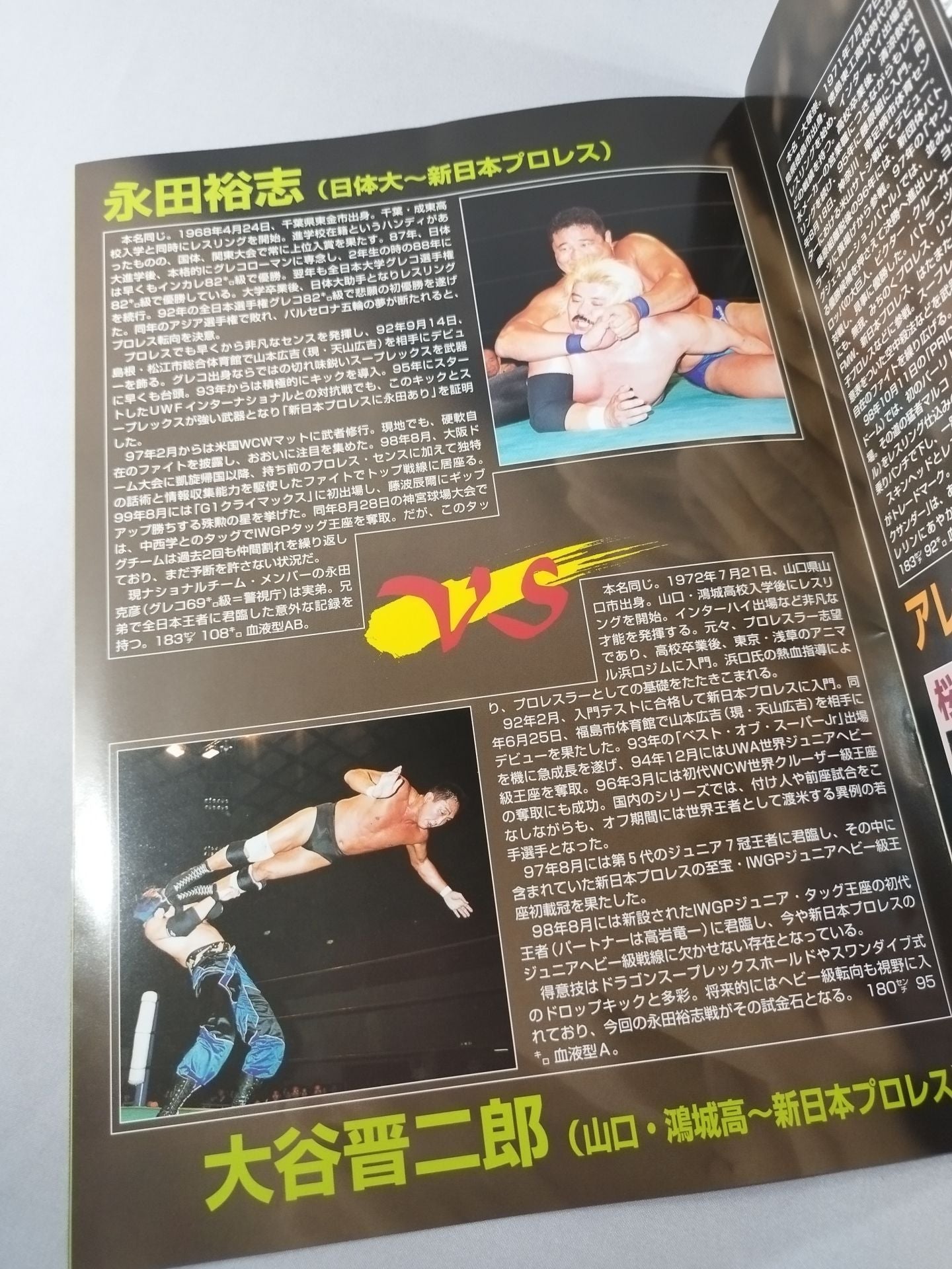 Wrestling Festival '99