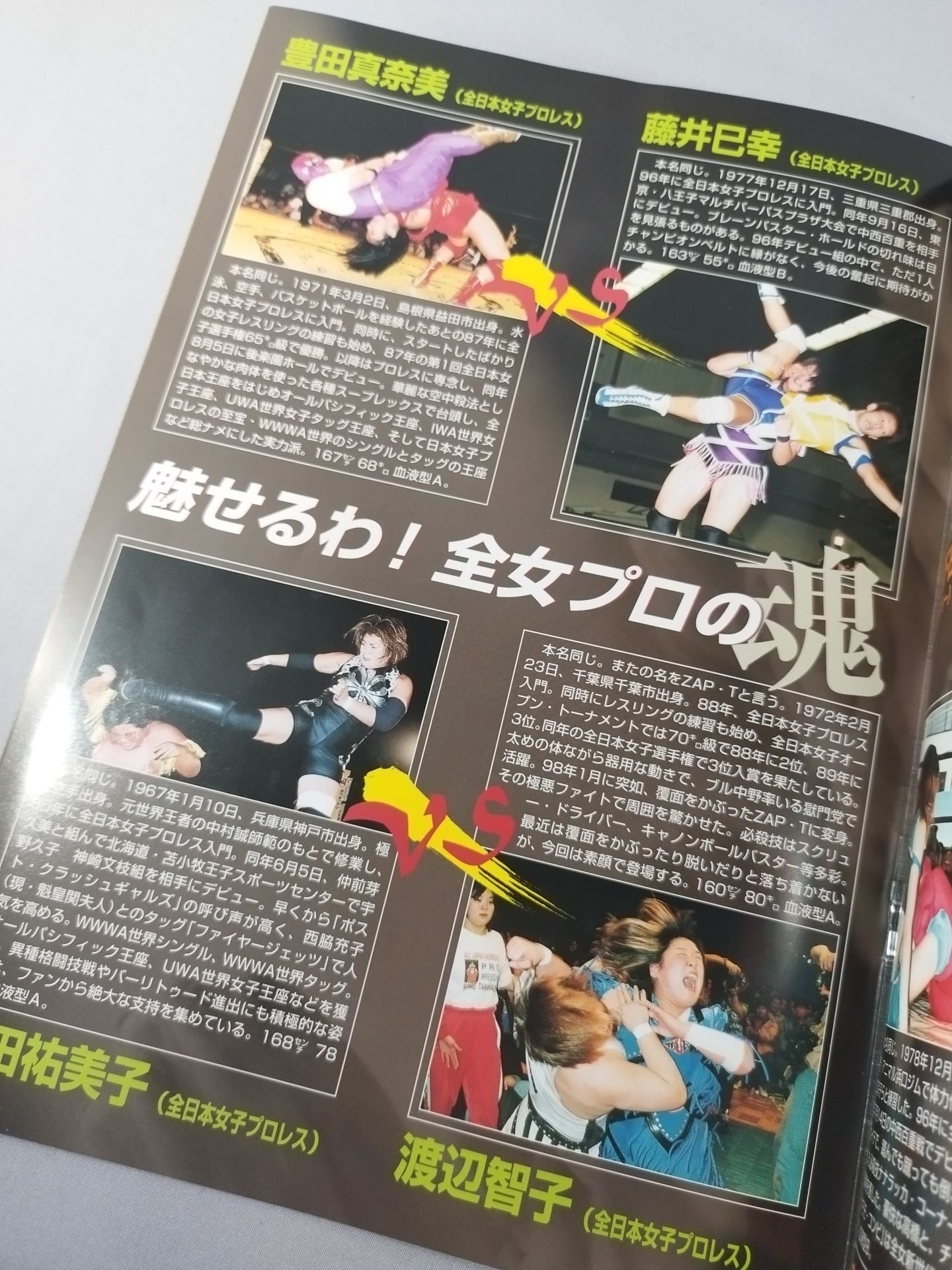 Wrestling Festival '99