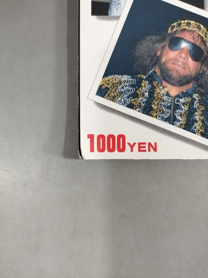 Gong Special Issue 89 Pro Wrestling  All-Star SUPER Catalog