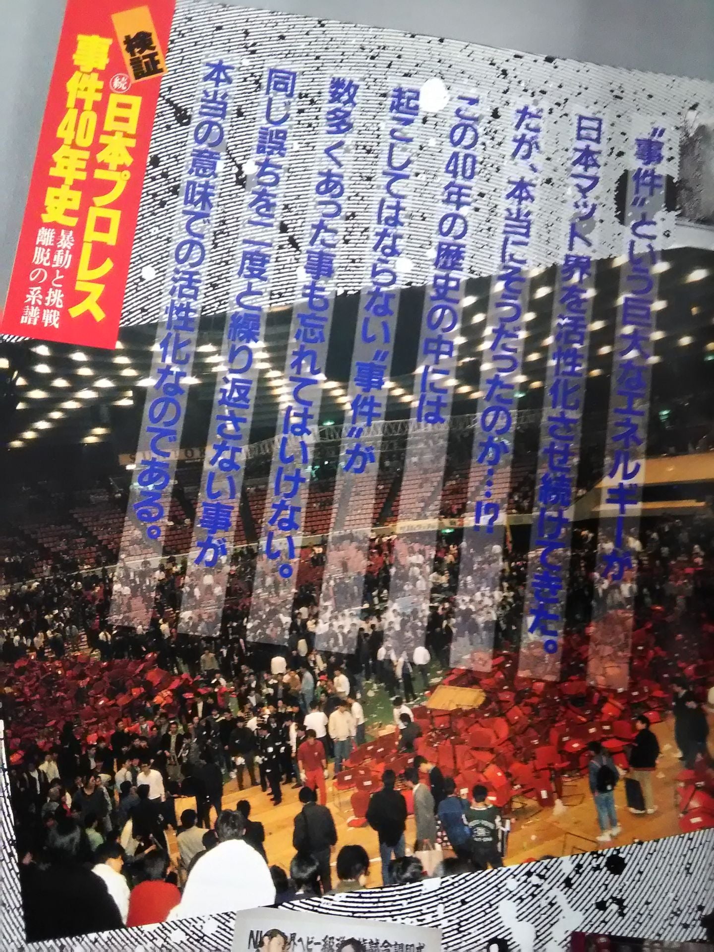 Gong Extra Issue Verification Continuation: 40 Years of Japan Pro Wrestling Incident