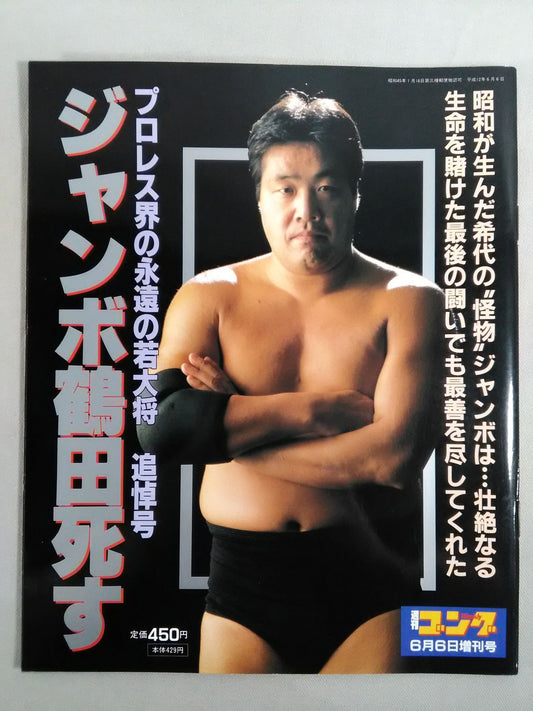 ゴング増刊号 ジャンボ鶴田死す プロレス界の永遠の若大将追悼号