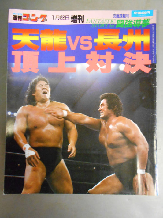 ゴング増刊号 天龍vs長州 頂上対決