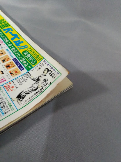Gong Special Issue 95 Pro Wrestling  All-Star SUPER Catalog