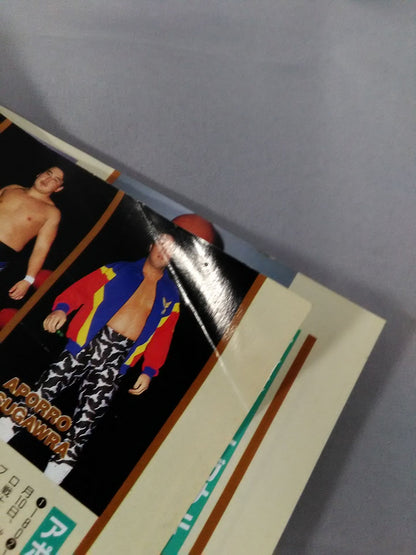 Gong Extra Issue 95 Pro Wrestling  All-Star SUPER Catalog