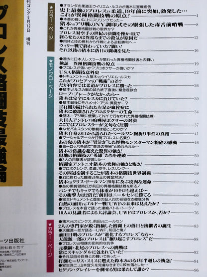 ゴング増刊号 検証プロレス格闘技最強論