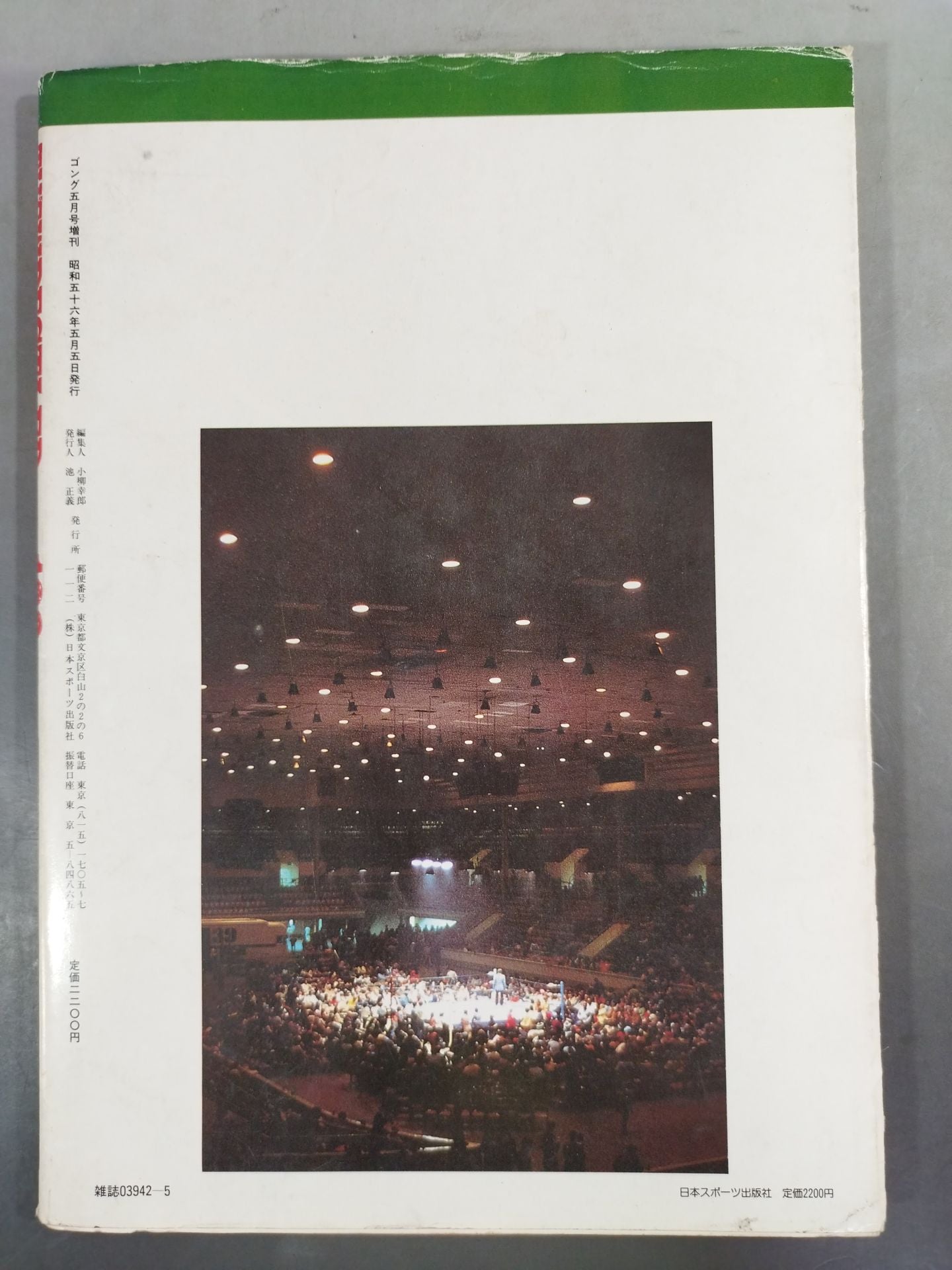 Gong Special Issue THE WRESTLER BEST100 [Permanent Preservation Version]