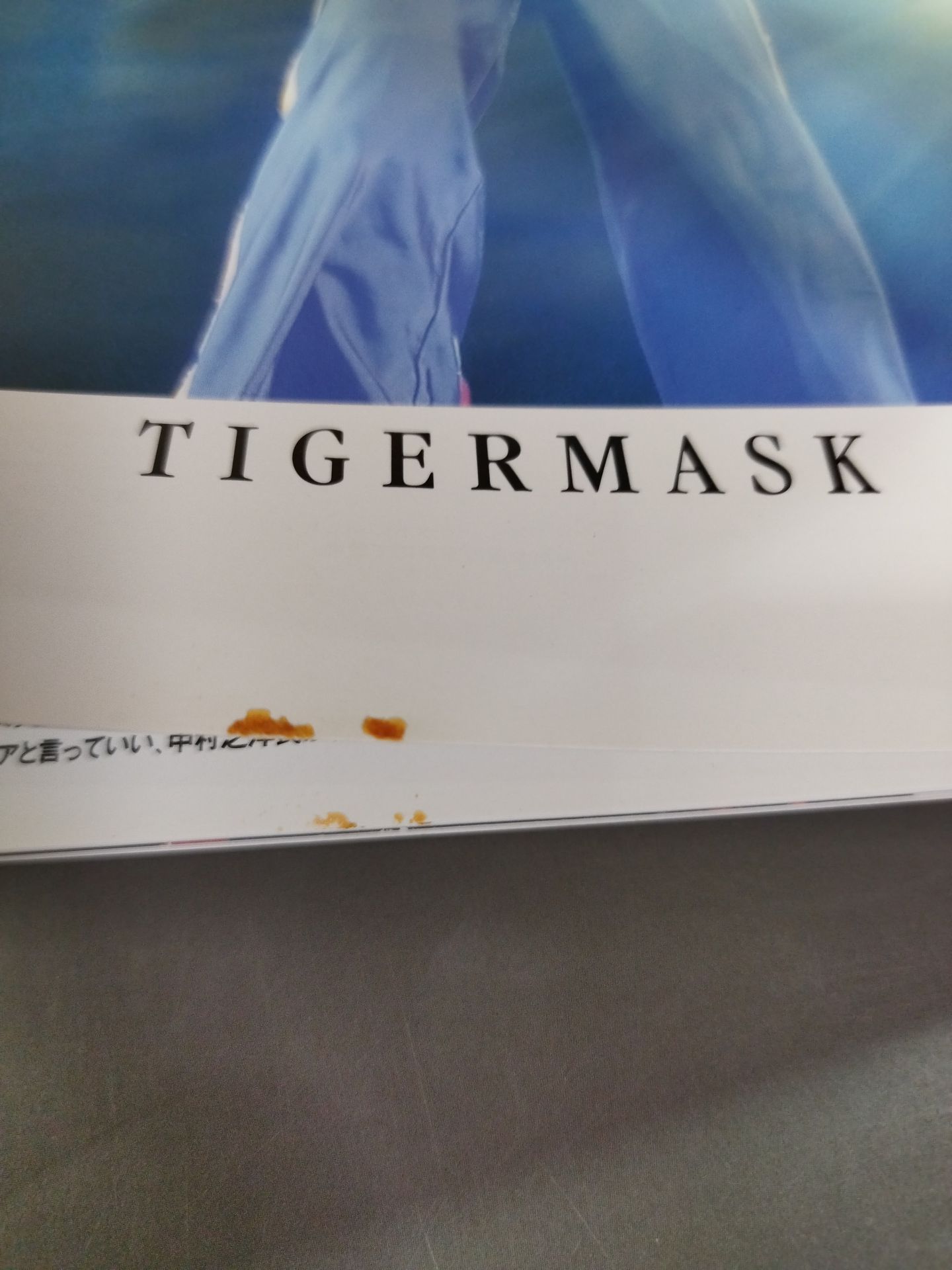 ゴング増刊号 別冊ゴング VOL.004 – 闘道館