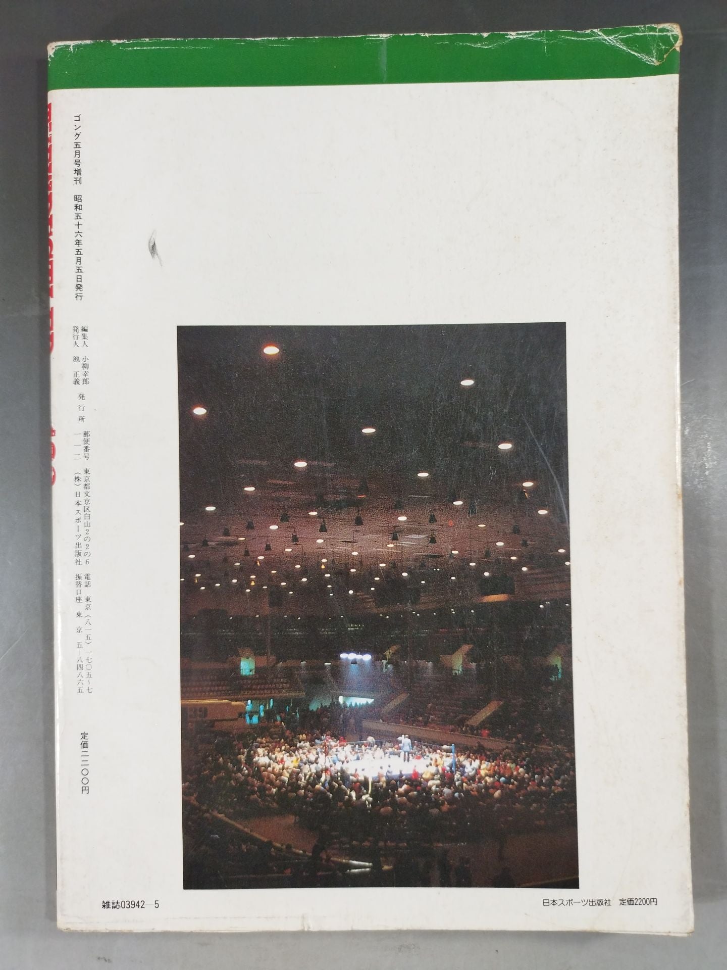 Gong Special Issue THE WRESTLER BEST100 [Permanent Preservation Version]