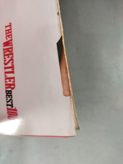 Gong Special Issue THE WRESTLER BEST100 [Permanent Preservation Version]