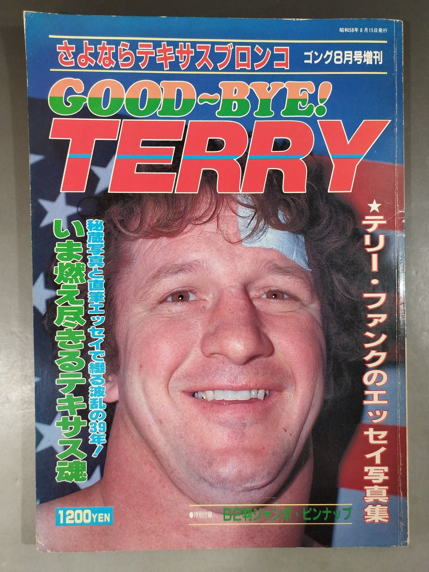 Gong Special Issue GOOD~BYE! TERRY ~Goodbye Texas Bronco~