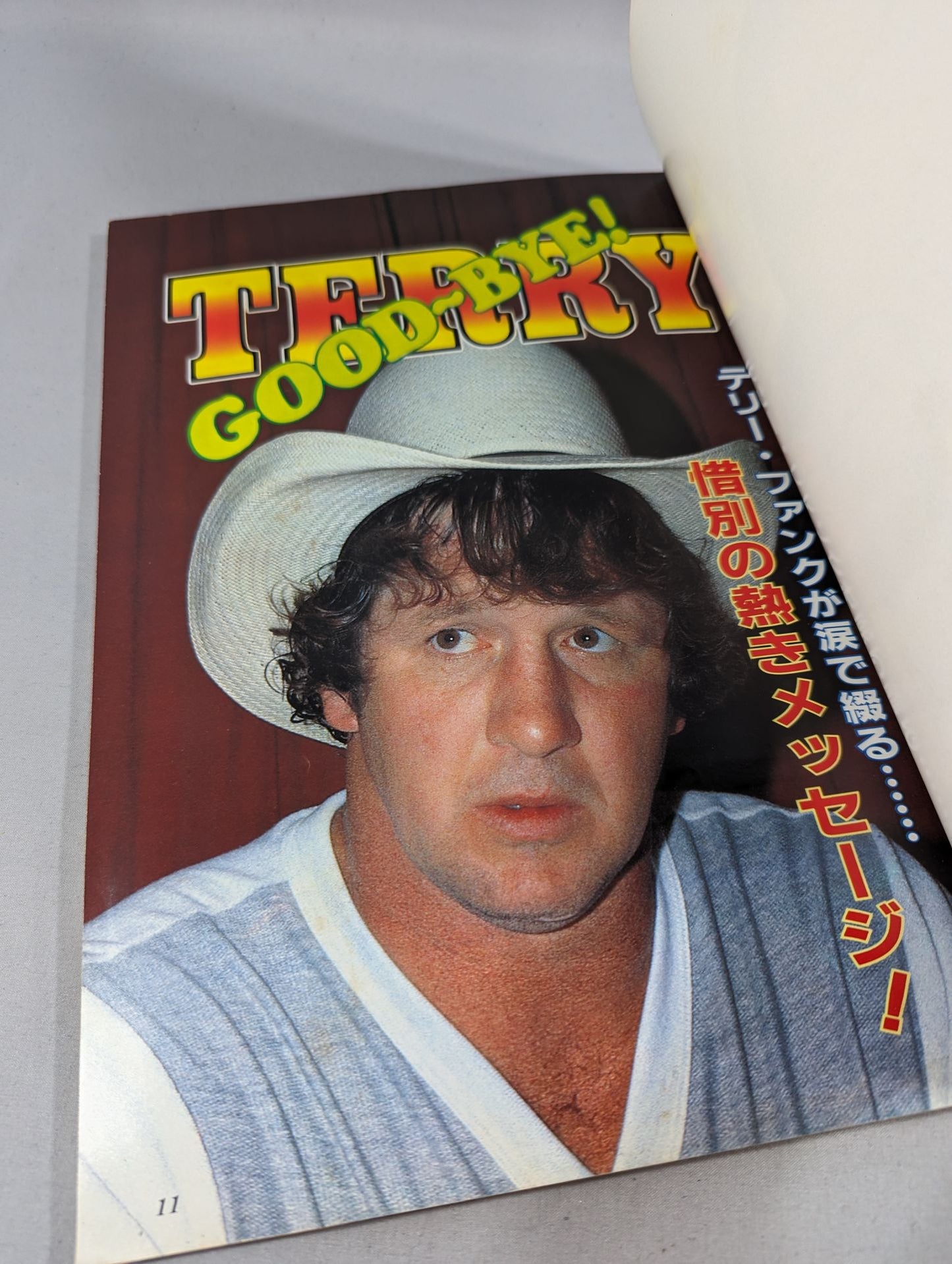 Gong Special Issue GOOD~BYE! TERRY ~Goodbye Texas Bronco~