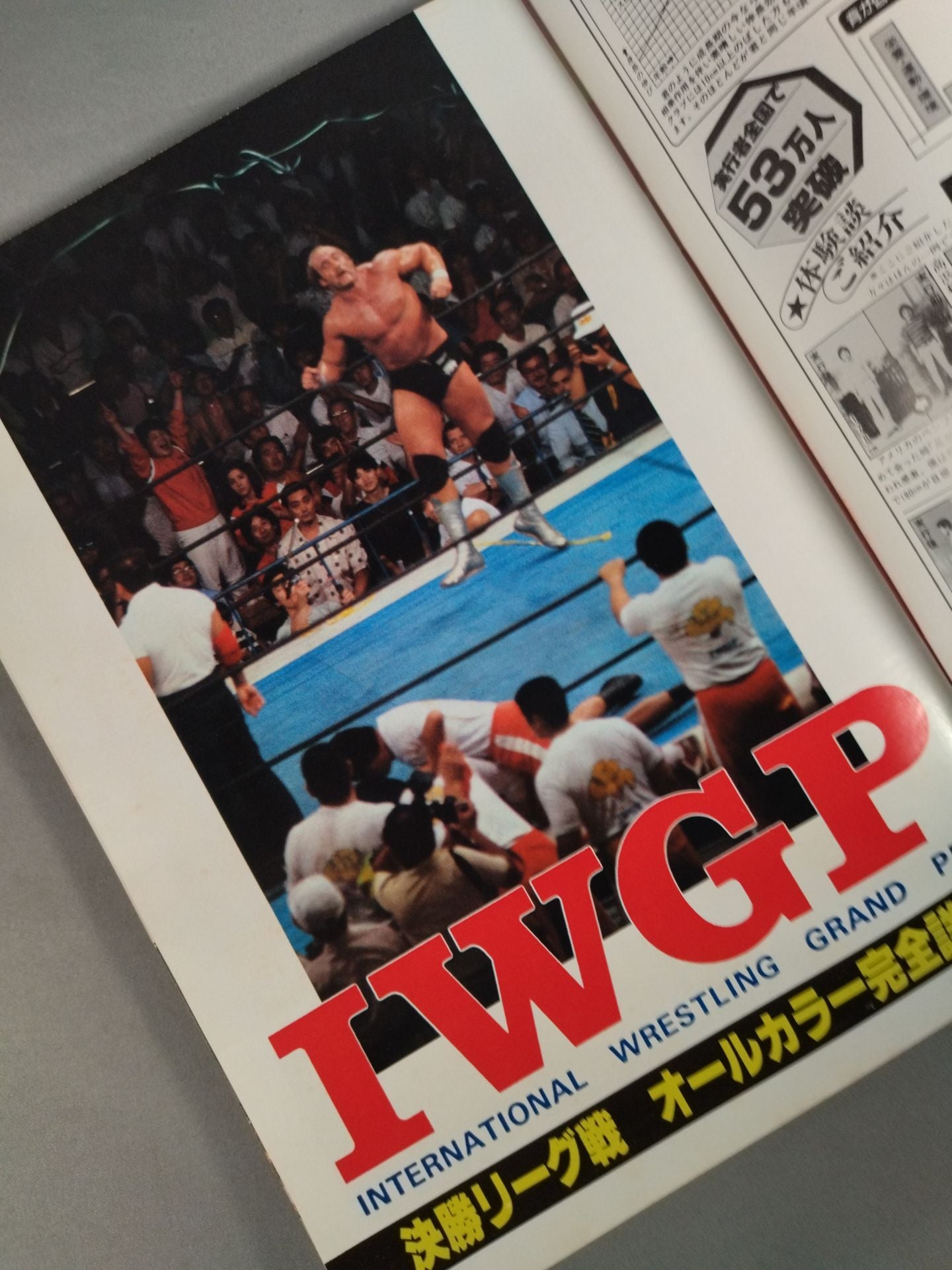 ゴング増刊号 IWGP～ゴング・ベスト・アルバム・シリーズ⑨～