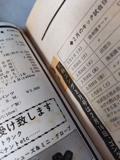月刊ゴングVol.10 No.4