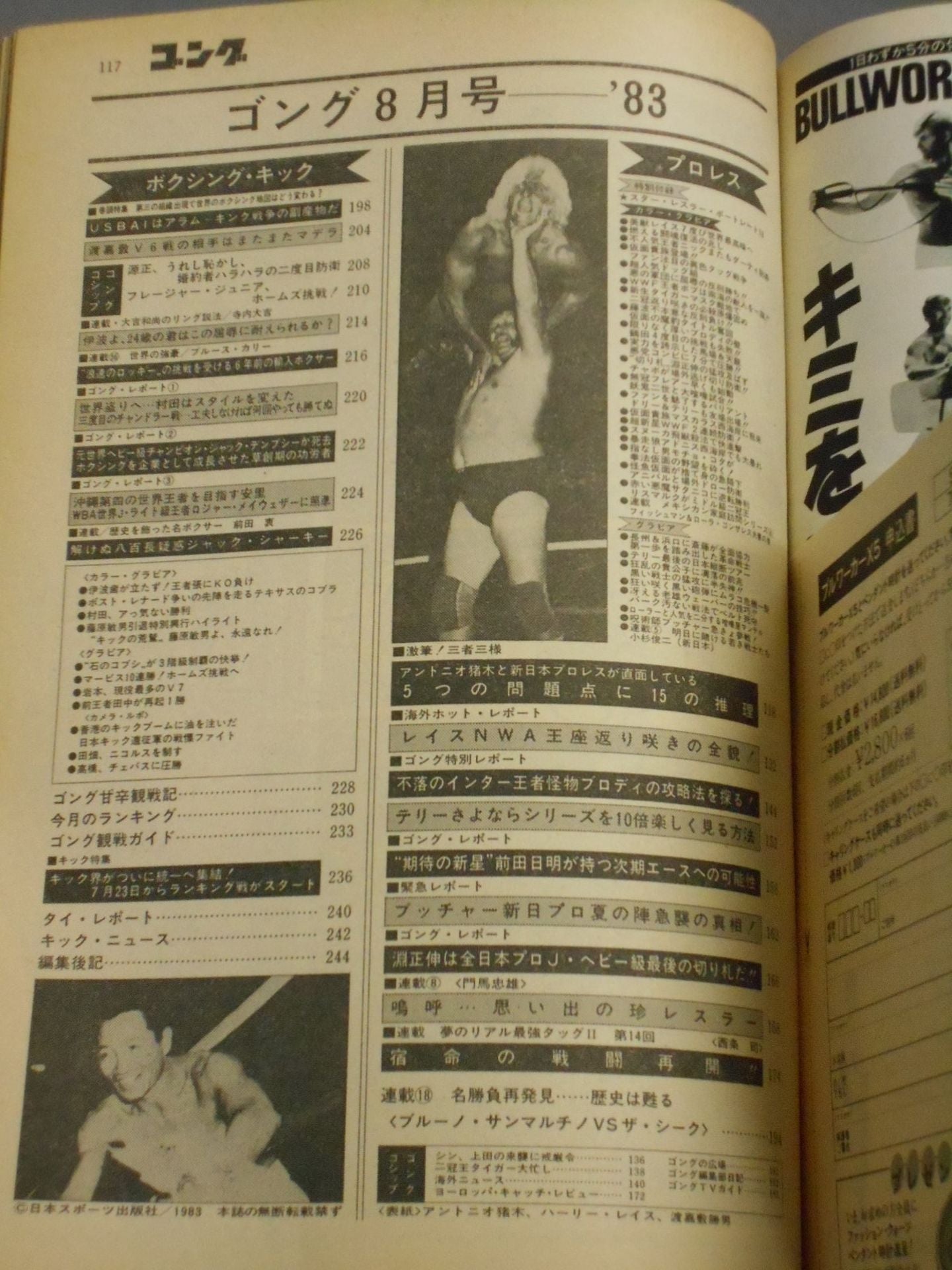 月刊ゴングVol.16 No.8