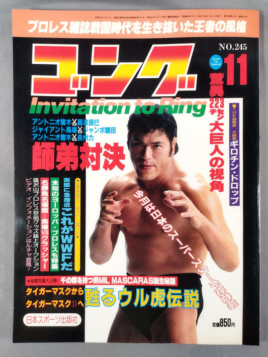 月刊ゴングVol.18 No.11