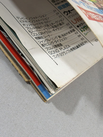 月刊ゴングVol.19 No.4