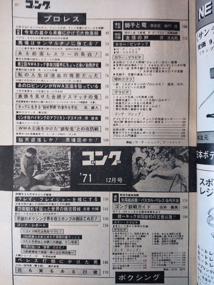 月刊ゴングVol.4 No.12