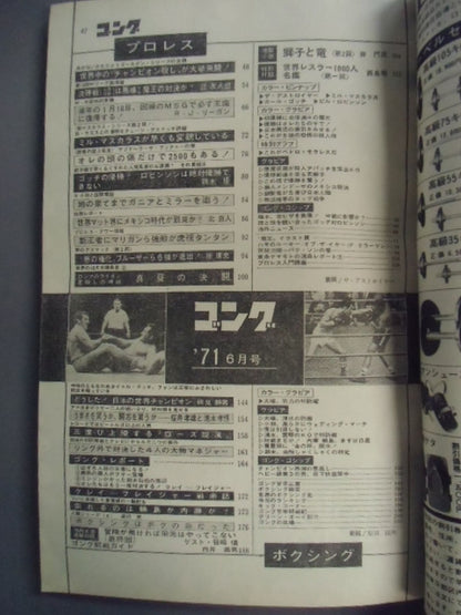 月刊ゴングVol.4 No.6