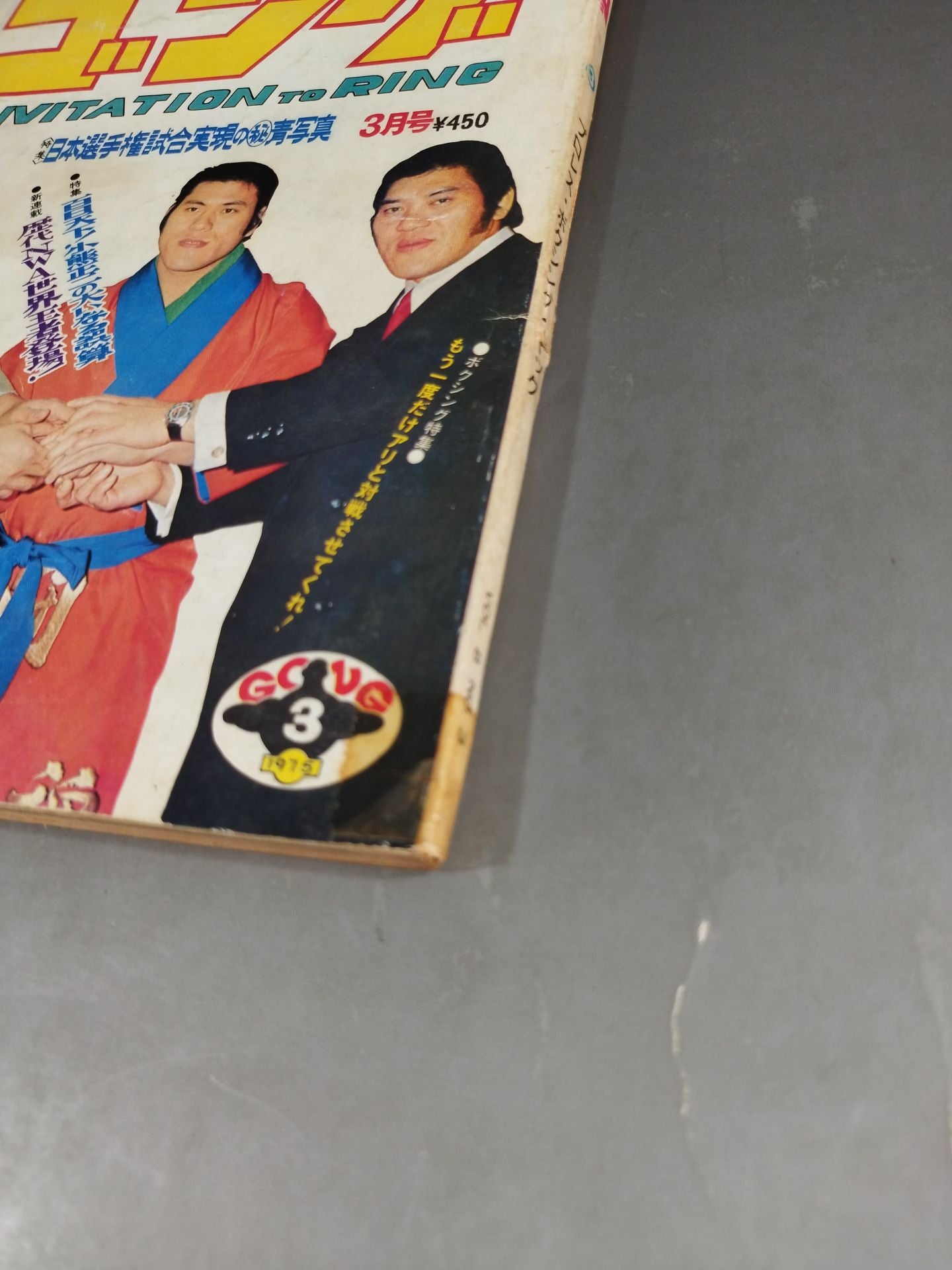 Monthly Gong Vol.8 No.3