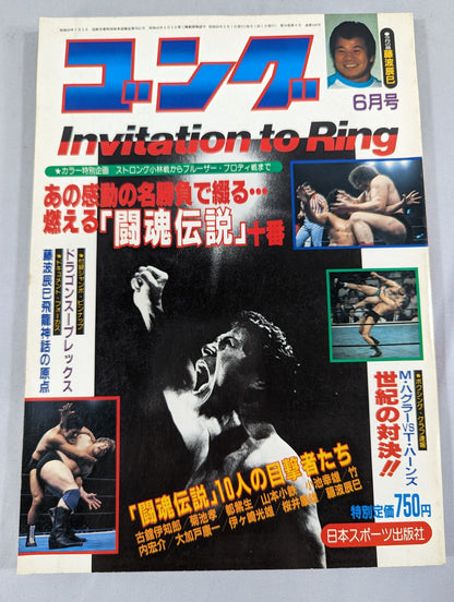 Monthly Gong Vol.18 No.6