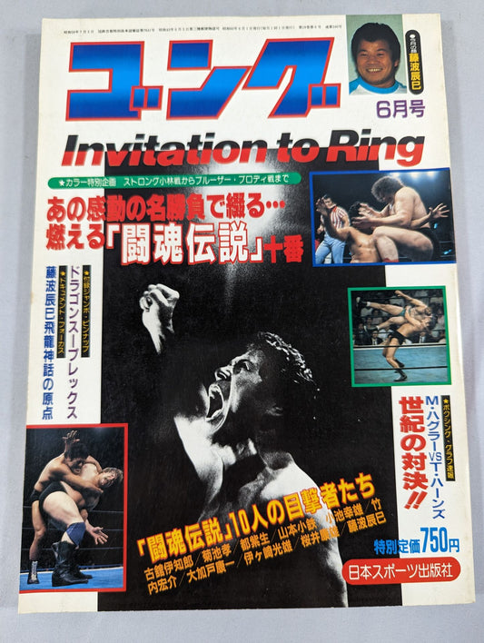 月刊ゴングVol.18 No.6