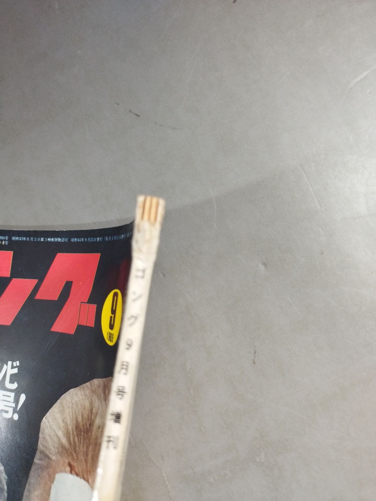 Monthly Gong Vol.2 No.11