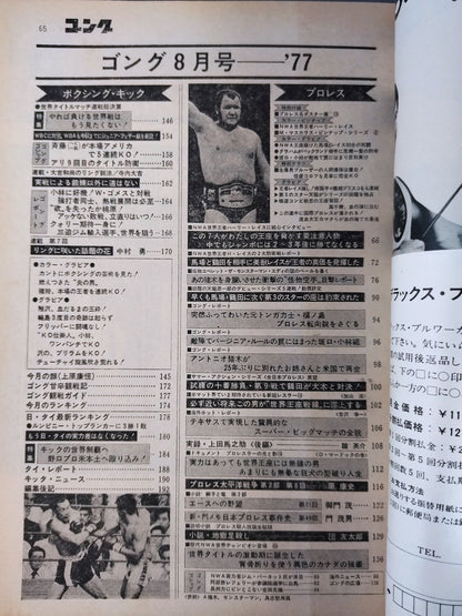月刊ゴングVol.10 No.13
