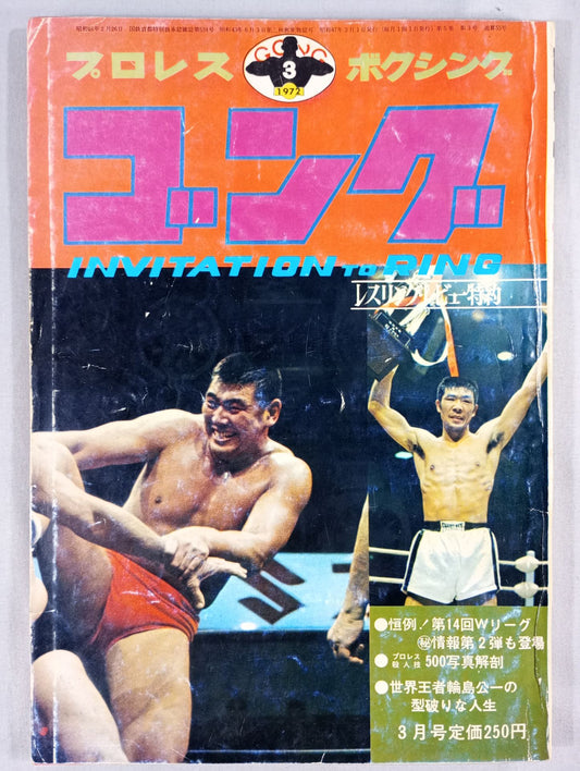 月刊ゴングVol.5 No.3