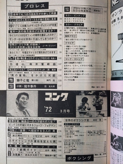 月刊ゴングVol.5 No.3