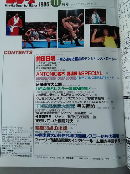 月刊ゴングVol.19 No.11