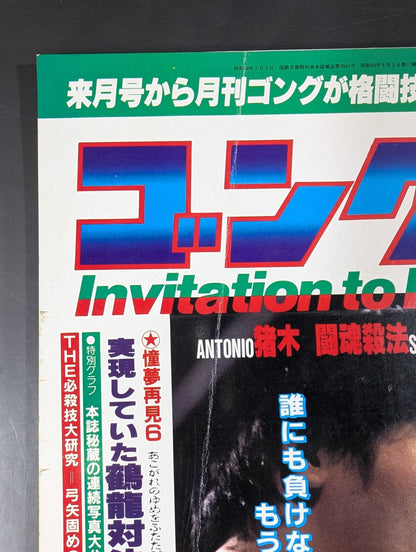 月刊ゴングVol.19 No.11