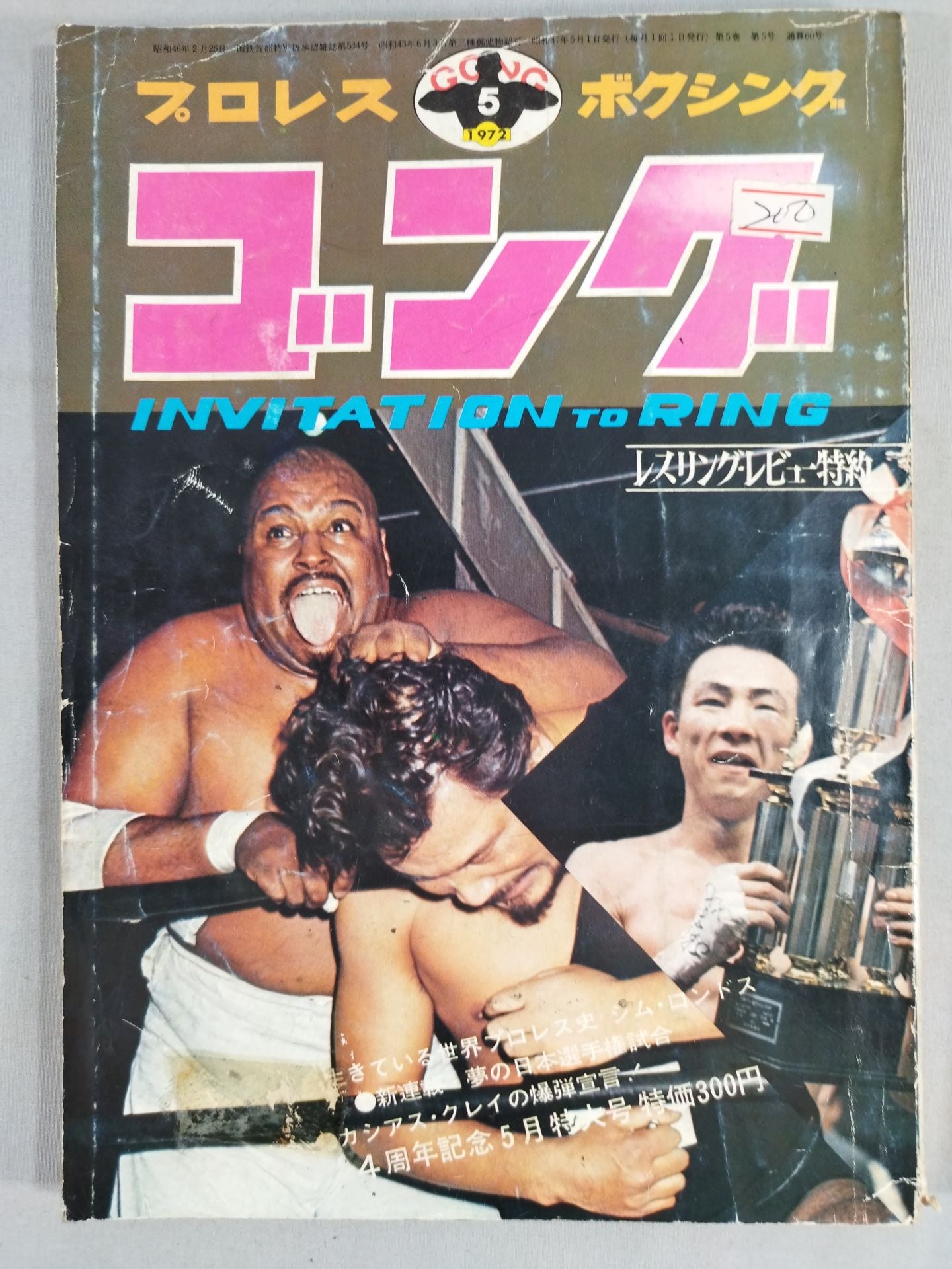 Monthly Gong Vol.5 No.5