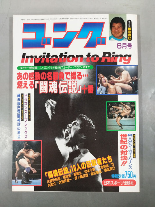 月刊ゴングVol.18 No.6