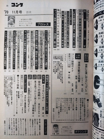 月刊ゴングVol.3 No.13