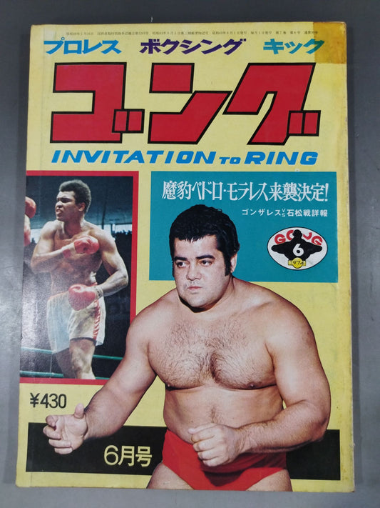 Monthly Gong Vol.7 No.6