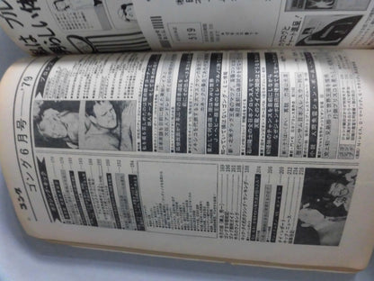 月刊ゴングVol.12 No.8