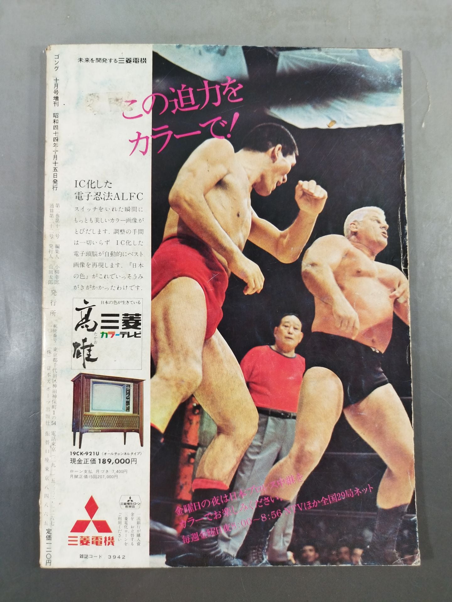 月刊ゴングVol.2 No.13増刊