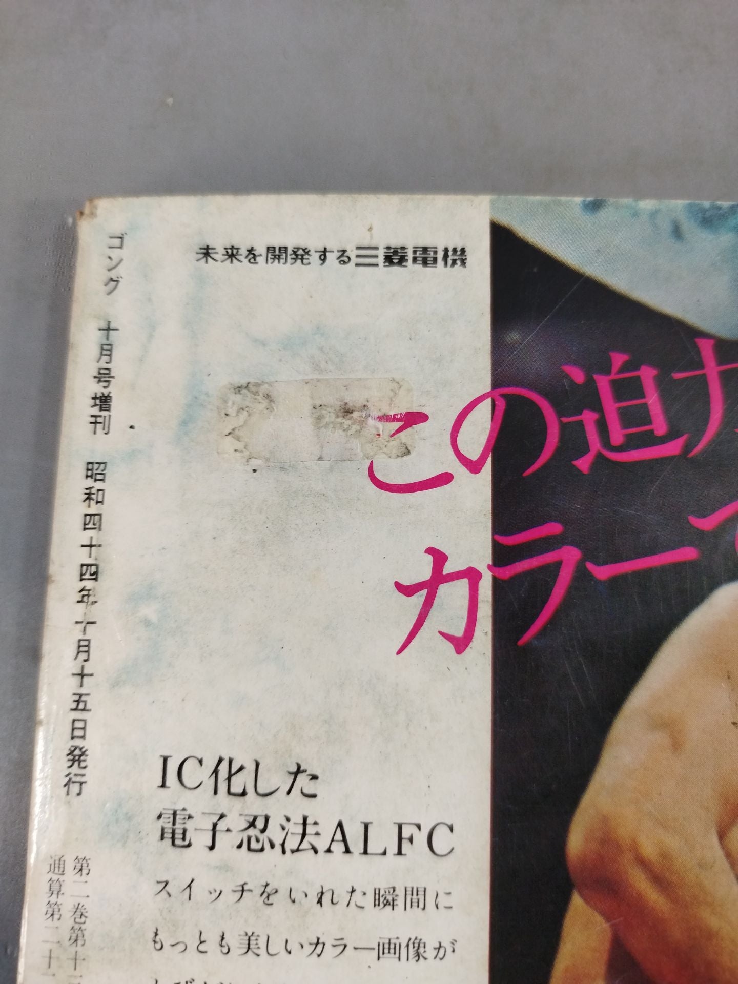 月刊ゴングVol.2 No.13増刊