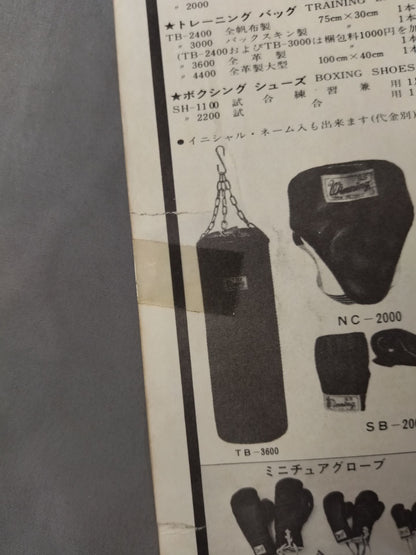 月刊ゴングVol.9 No.6