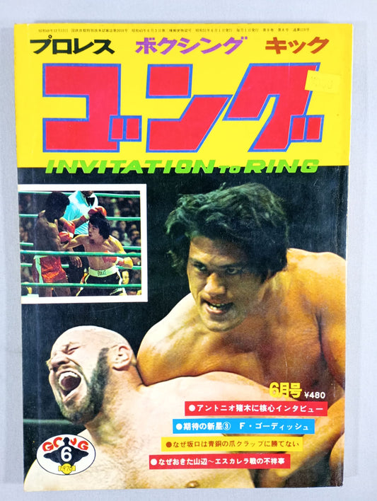 月刊ゴングVol.9 No.8