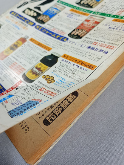 月刊ゴングVol.17 No.2