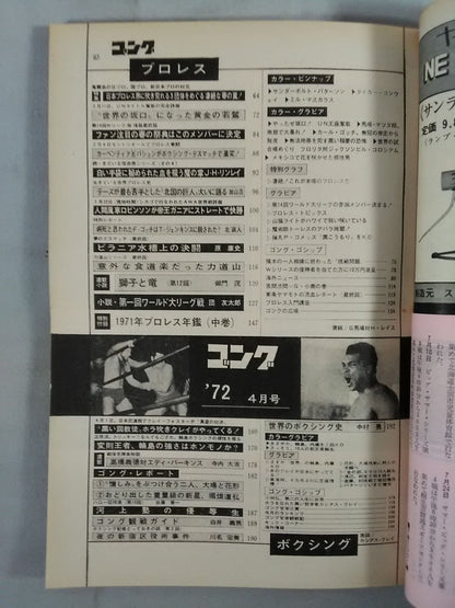 月刊ゴングVol.5 No.4