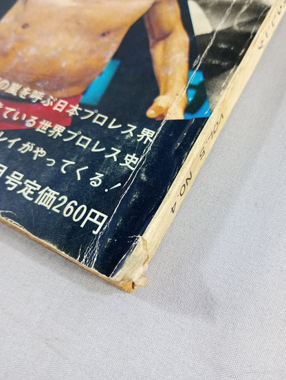 月刊ゴングVol.5 No.4
