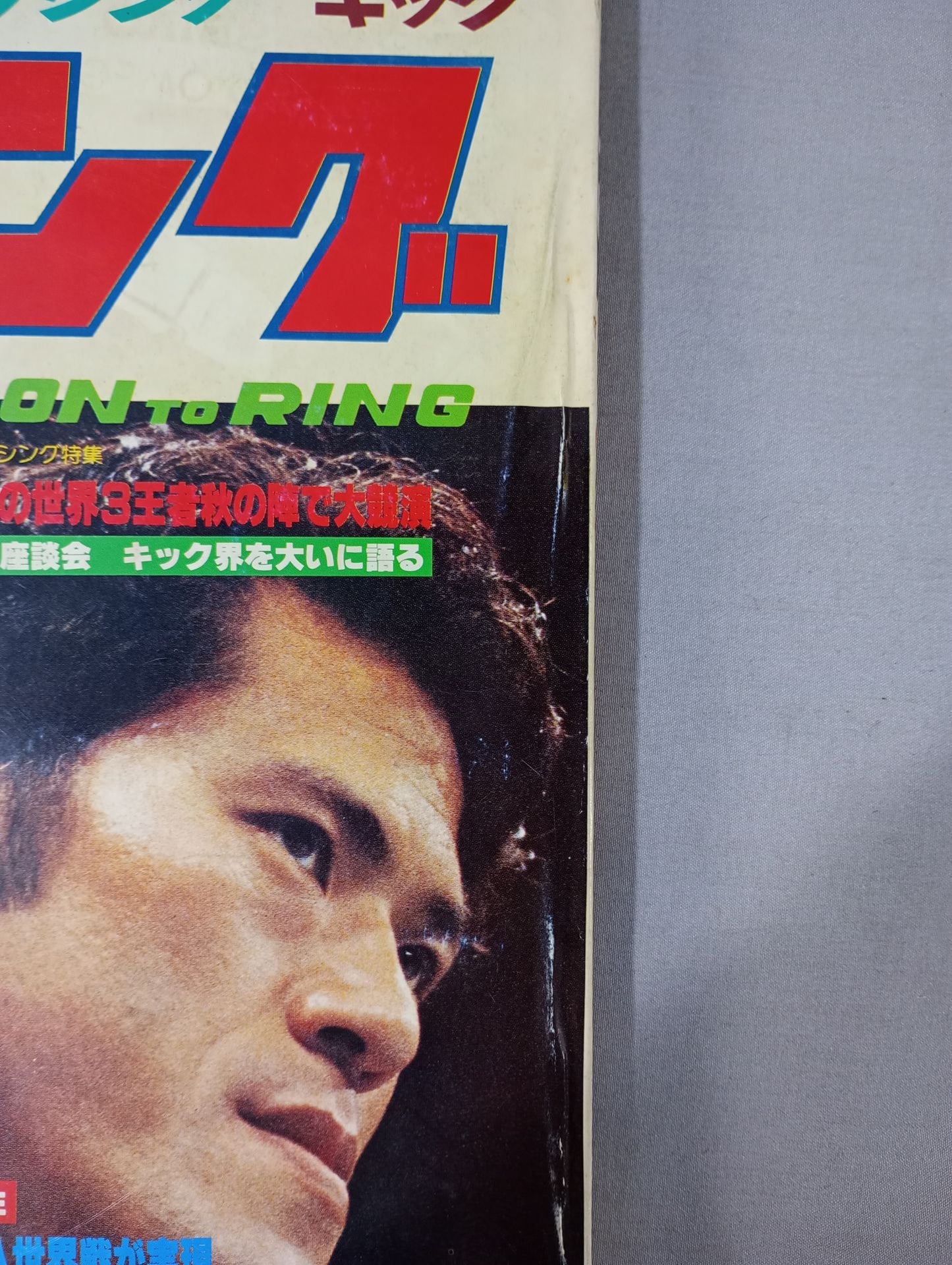 月刊ゴングVol.13 No.11