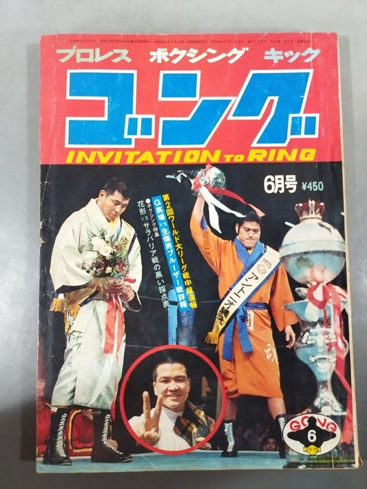 月刊ゴングVol.8 No.7